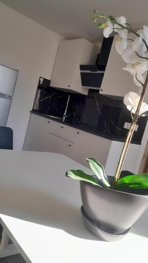 Apartma Ana Koper Zewnętrze zdjęcie